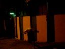 dan�a de retardado