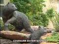 Gatlinburg Video 5 Minute Tour