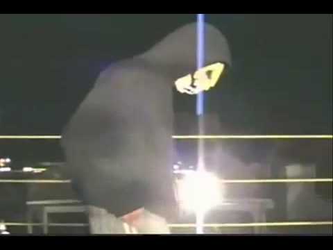 bbw fight