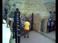 Crazy Tourists Kamelya World