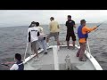 Pesca na Baia de Suruga - Jap�o em 15/06/2008 .