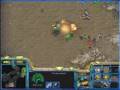 42 단콤보 Funny Starcraft by sonic (소닉스타엽기강좌)