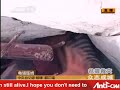 China Sichua 3-day-buried girl in earthquake moved the world China Sichua 3-day-buried girl in earthquake moved the world