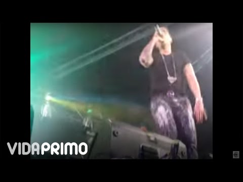 De La Ghetto & Alex Kyza  - BOOTY GRANDE - Live! [Palmahia, Medellin] 2011 -
