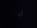 RECENTLY FOUND FOOTAGE part 2