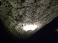 RECENTLY FOUND FOOTAGE part 2