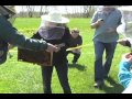 Click here to watch this video Zale Maxwell's Beekeeping Workshop