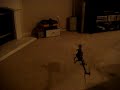 T-Rex 450SE V2 test hover T-Rex 450SE V2 test hover