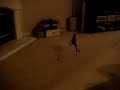 T-Rex 450SE V2 test hover