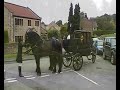Black Horses - Horse Drawn Carriage services
