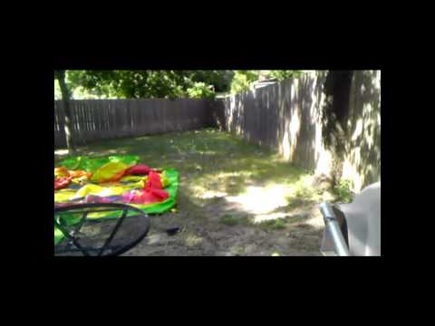 Niketalk313 - up for sale on craigslist is the tennis ball macine by prince.