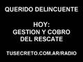 Querido-Delincuente-