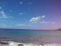 videos de American Airlines 757 Sexy Landing at Saint Maarten 17 November 2008