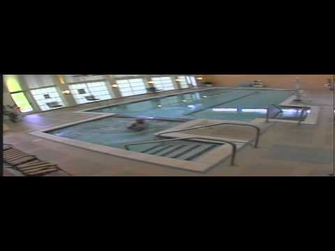 Technician talking on cell phone falls into pool