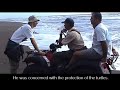 la comunidad   the community of tortuguero costa rica