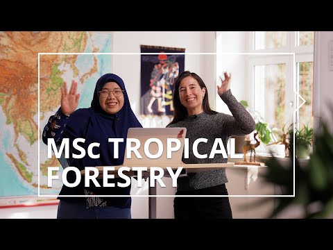 MSc Tropical Forestry requirements & application procedure for self ...