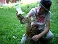 bottle feeding the fawn