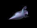 space ship