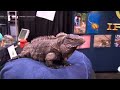 NARBC Anaheim - Interview With John Binns/IRCF NARBC Anaheim - Interview With John Binns/IRCF