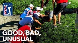Koepka, Rahm overcome unusual situations, Kokrak’s first victory & Poulter’s pant game by PGA TOUR