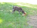 MVI_2318.avi MVI_2318.avi