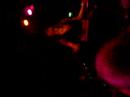 the-donnas-gamh-sf-live-1992007-bitchin-tour-8-of-12.html