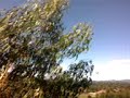 haciendo canopy
