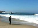 Shark Watch in San Diego