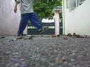 BeatOfTheHeat  -  Mr. Lonely - Cwalk