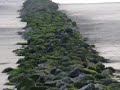 Adieu Berck -