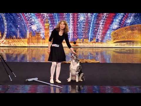 Jus - The amazing dancing ballet dog viewed on ITV1 on 17th April. Recorded from DVBViewer Copyright ITV.