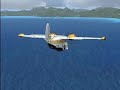 (FSX) Goose at Moorea (FSX) Goose at Moorea