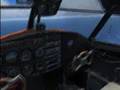(FSX) Goose at Moorea