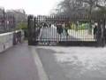 Strassenkünstler in Paris