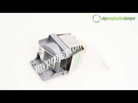 Lampe Projecteur RLC-111 Sans Boîtier Compatible Viewsonic PA501S PA502S PA502X Et Plus