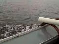 May 17 2008 - VID00013