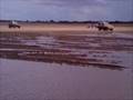 videos de Fundacion EXTREME 4x4