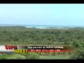 videos de Programa SUPER RADIkAL - WAV Arte ( - Web Áudio e Vídeo - )