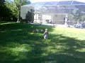 MOV00040
