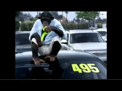 Trunk Monkey Funny Commercials