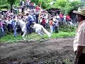 carreras de cintas asuncion mita