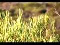 Mount Barker Hill Film Session