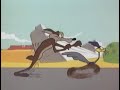 corre, corre, pequeño correcaminos