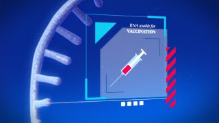 MEDICAL RESEARCH PRIZE 2025