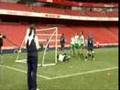 my goal at the emirates stadium