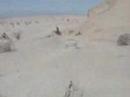 crf 450 in ocotillo wells crf 450 in ocotillo wells