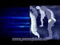 A glimpse on Powerjoints 30 sec  Osteoarthritis Chondroitin