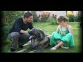 shemsedin-jetaj-dini.html