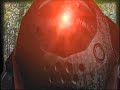taunt