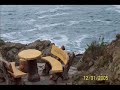 giresun ke?ap